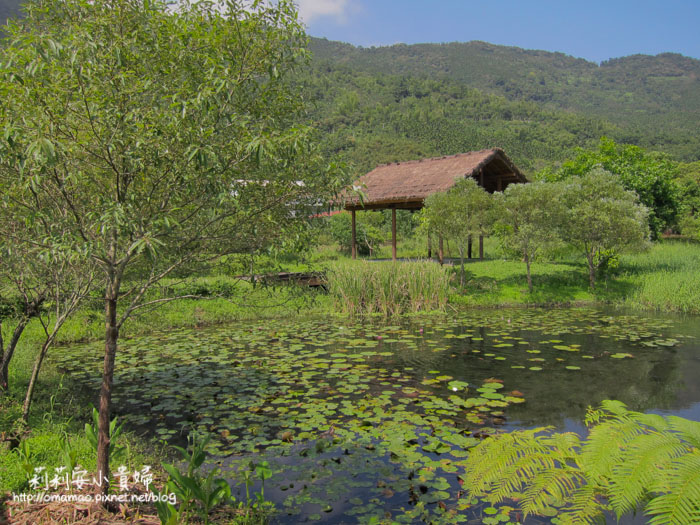 【花蓮】景點推薦–光復馬太鞍濕地、欣綠農園。阿美族的生態寶藏 【花蓮】景點推薦–光復馬太鞍濕地、欣綠農園。阿美族的生態寶藏