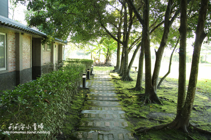 【花蓮】鳳林芳草古樹民宿。睡在菸樓中擁抱著青山綠水 【花蓮】鳳林芳草古樹民宿。睡在菸樓中擁抱著青山綠水