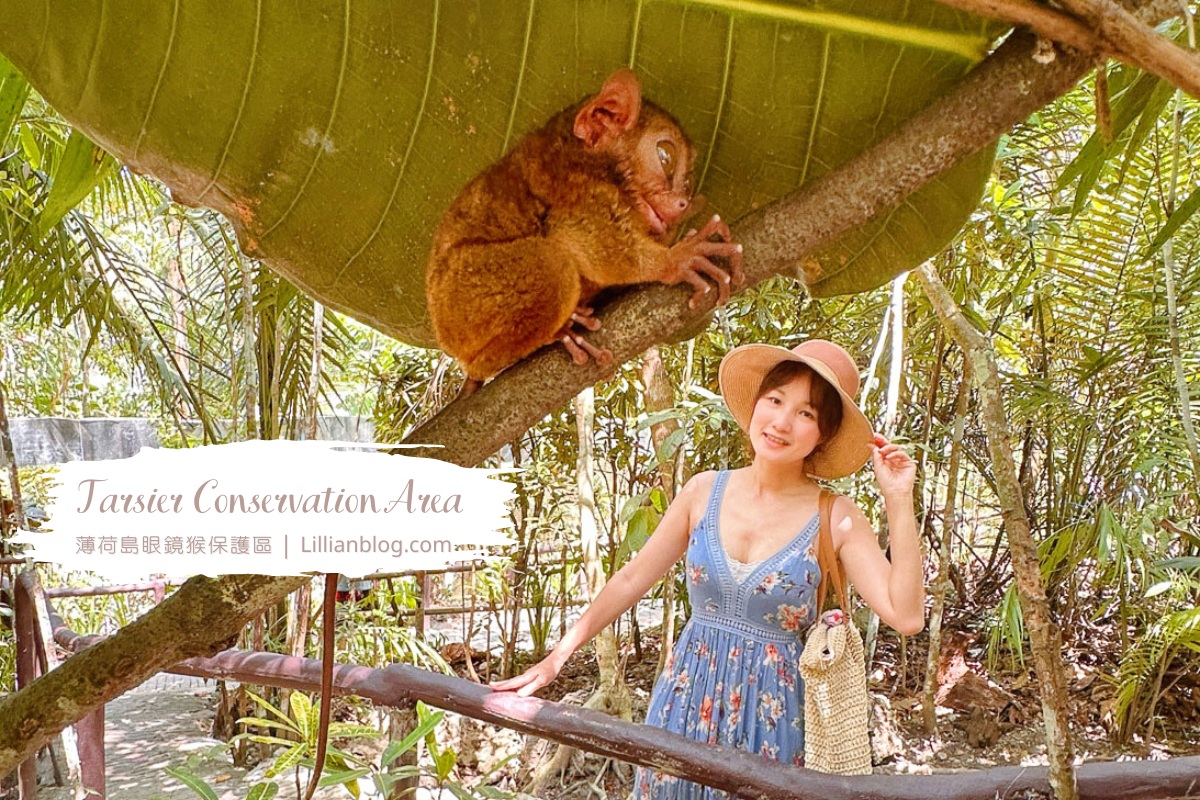 延伸閱讀：菲律賓薄荷島自由行｜Bohol Tarsier Conservation Area 眼鏡猴保護區，圓圓無辜大眼惹人憐愛，是薄荷島必去景點