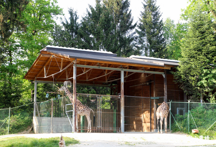 Ljubljana Zoo動物園